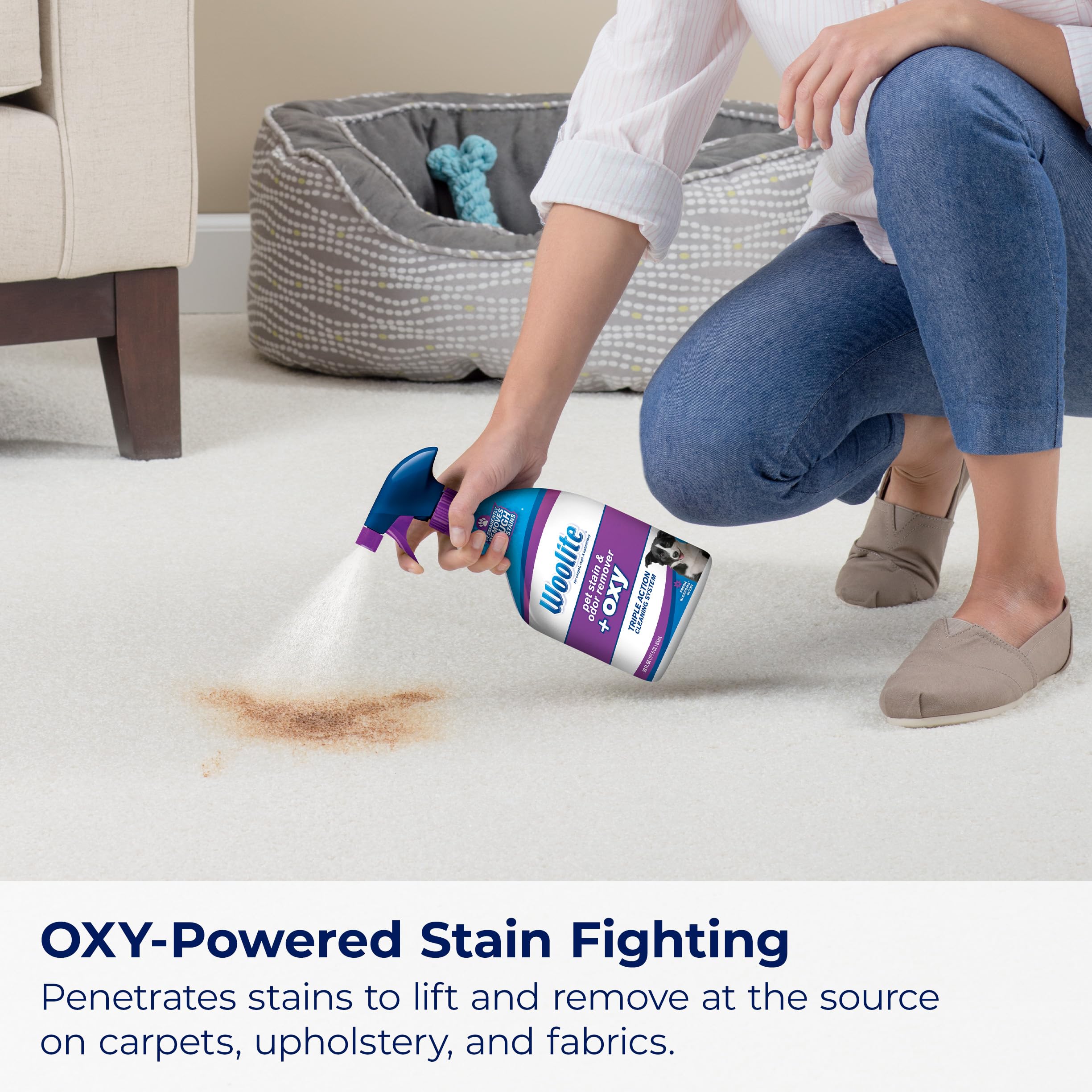 بيسيل مزيل البقع والروائح الكريهة للحيوانات الاليفة من وولايت ادفانتج + اوكسي، عبوتان، 3326