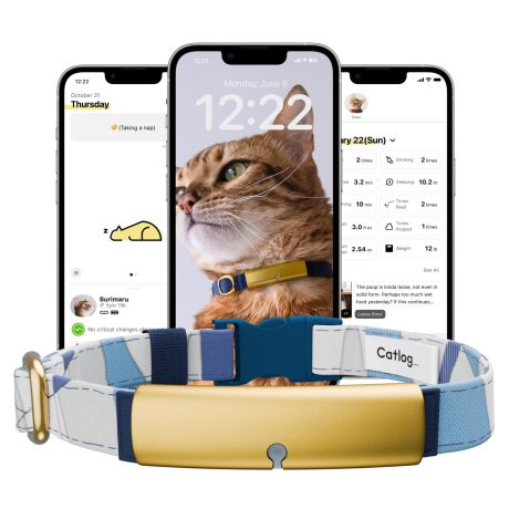 جهاز تتبع صحة القطط من كاتلوغ - طوق ذكي للقطط مع مشبك امان قابل للفصل للقطط الداخلية، تنبيهات صحية، مراقبة فورية (احمر، XL)