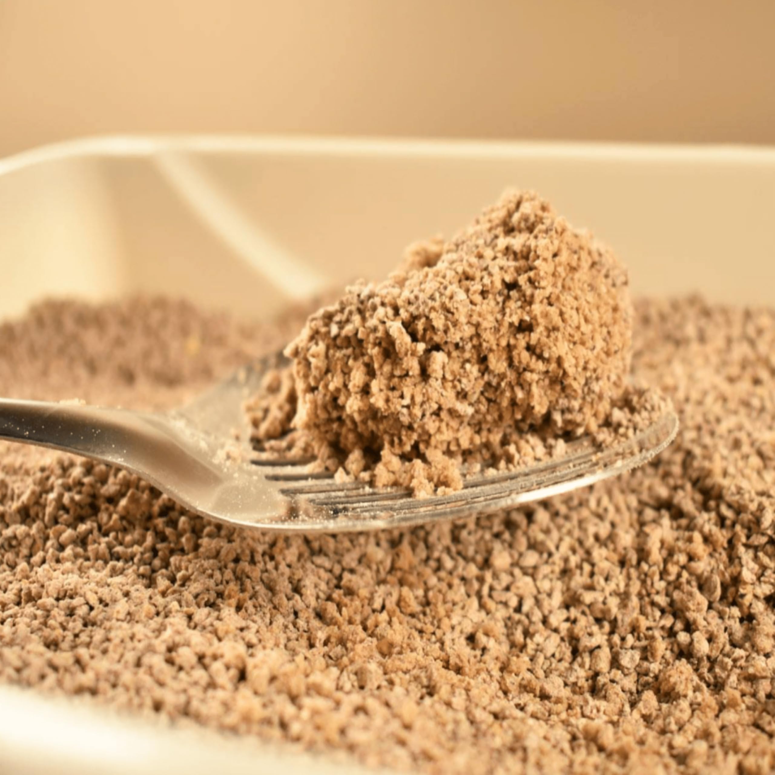 رمل فضلات القطط من وورلد بيست، رمل متكتل مُعطر، متعدد، 12.7 كجم