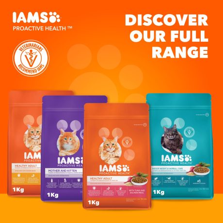 طعام جاف فاخر للقطط البالغة برواكتيف هيلث بالدجاج من ايمس، 1 كيلوجرام