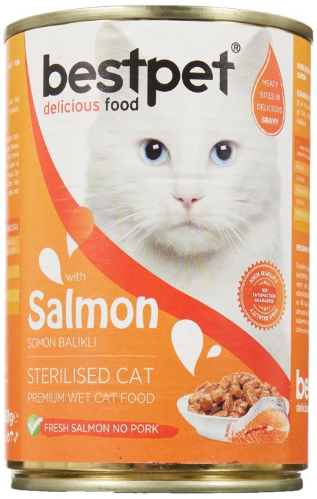 طعام رطب للقطط مع قطع السلمون الطازجة والصلصة من بيست بيت، 400 جم