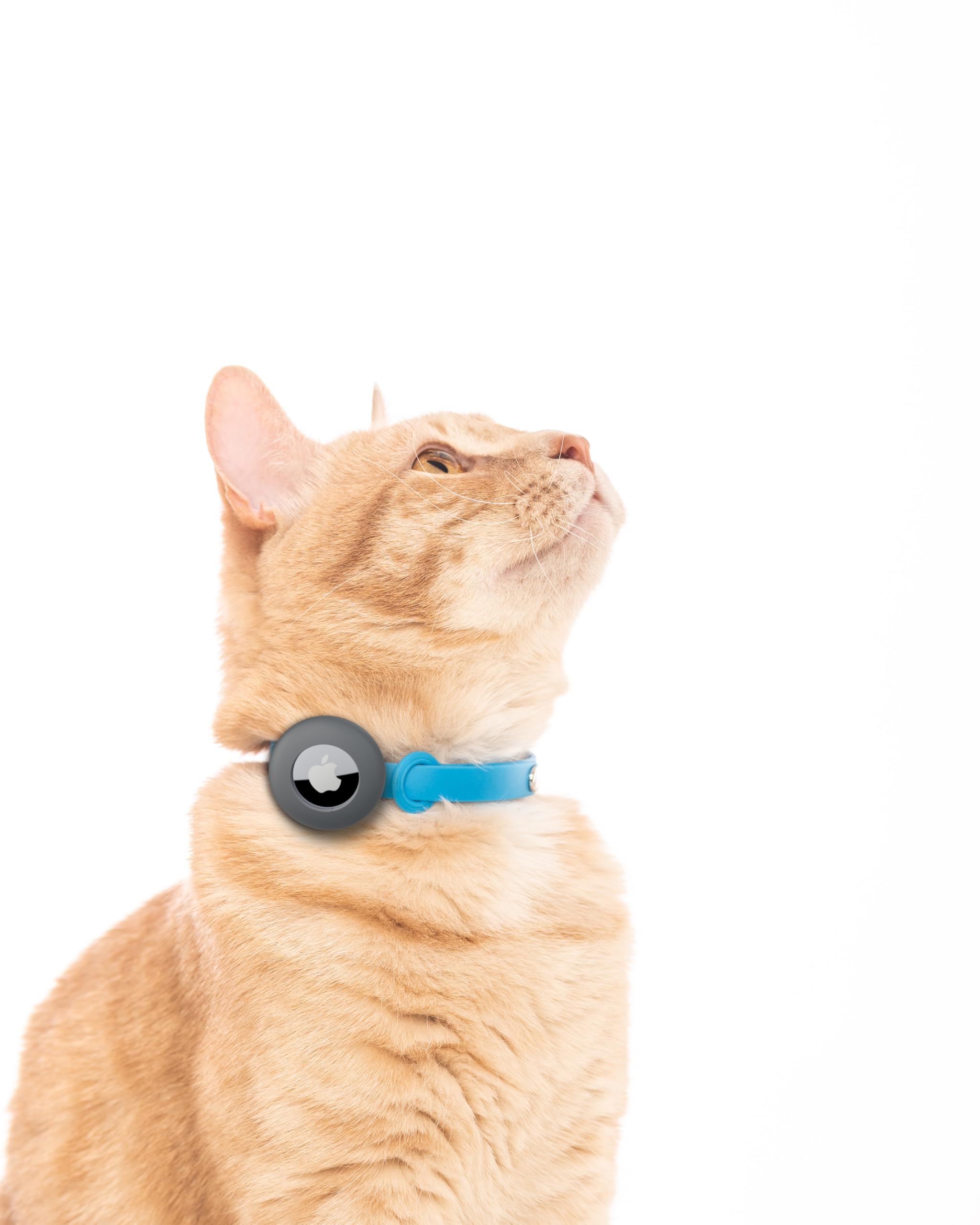 طوق قابل للفصل للقطط من ايرتاغ - طوق بمشبك امان ناعم ومريح وخفيف الوزن مع حامل جهاز تتبع GPS للقطط الخارجية والقطط الحساسة من نوفوك (6 انش الى 10 ¼ انش، ازرق)