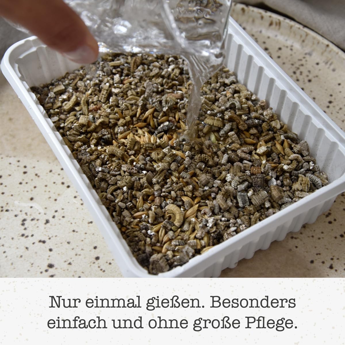 عشب سوفت-جراس لدعم صحة القطط من جيمكات (100 جم)