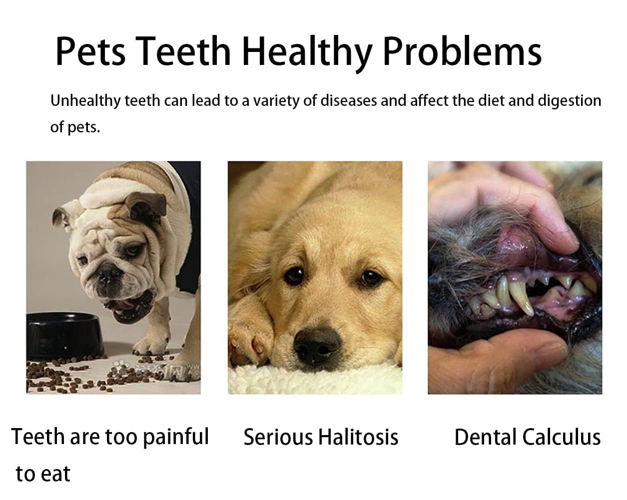 فرشاة اسنان للكلاب الاليفة من نالاكال فرش فائقة النعومة والقطط تنظيف للجراء والكلاب الصغيرة مجموعة 3 قطع ابيض/اخضر/بينك يدوي