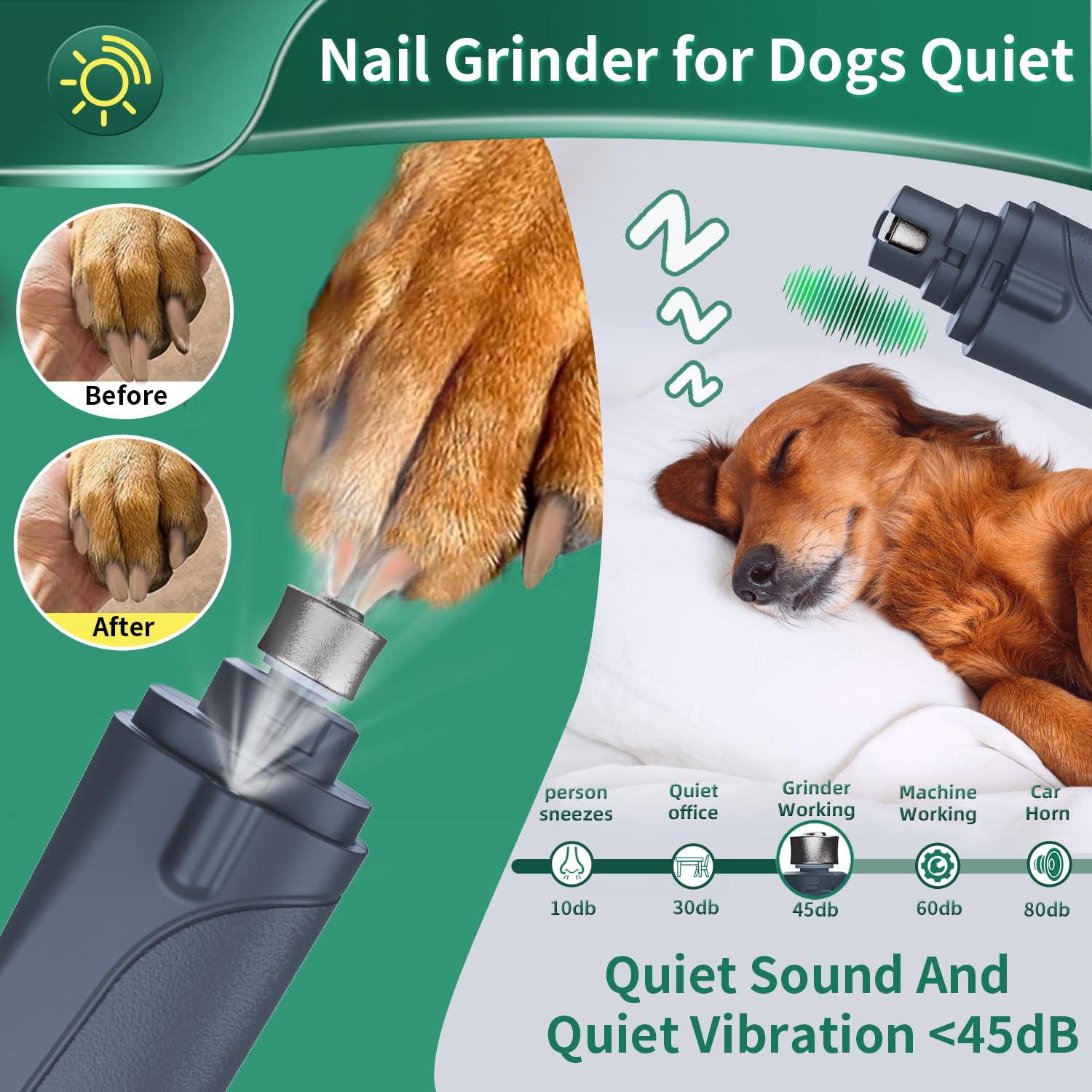 قصافة اظافر الكلاب والقطط 2 في 1 من كاتبيك، مقص اظافر للكلاب الكبيرة والمتوسطة والصغيرة والقطط، مقص سريع وواقي امان قابل لاعادة الشحن بمنفذ USB مع مصباحين LED لتشذيب اظافر الكلاب