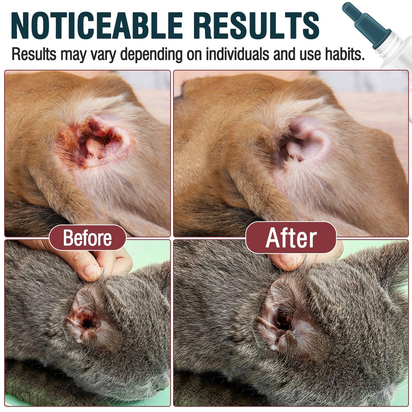 قطرات علاج عدوى اذن الكلاب، منظف اذن الكلب للمساعدة في ازالة الحطام والرائحة للقطط والكلاب، محلول منظف الاذن