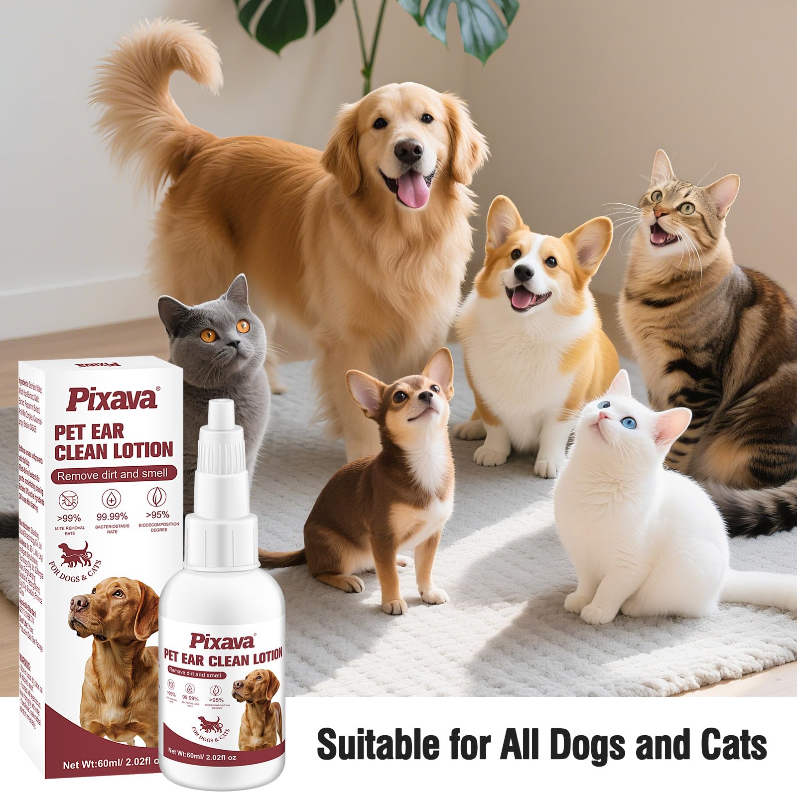 قطرات علاج عدوى اذن الكلاب، منظف اذن الكلب للمساعدة في ازالة الحطام والرائحة للقطط والكلاب، محلول منظف الاذن