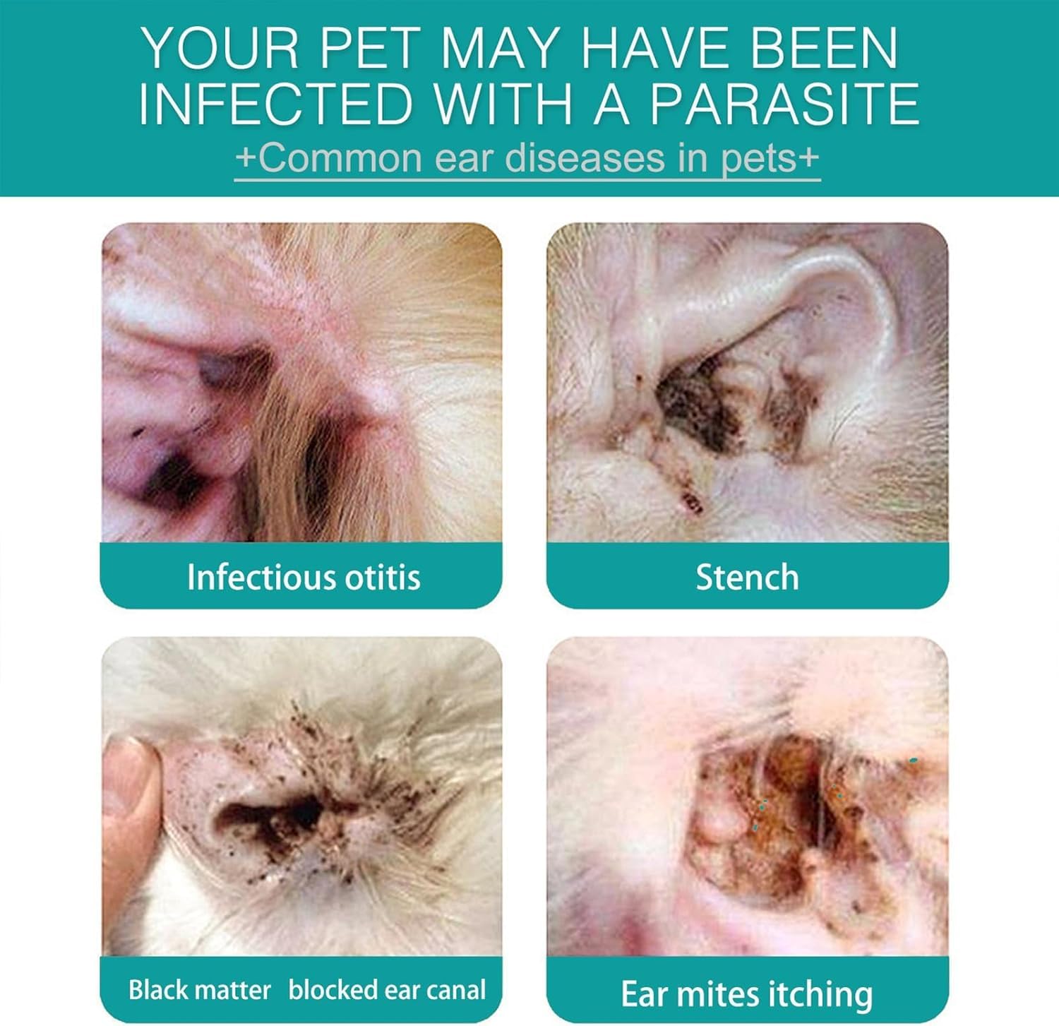 قفازات اصابع لتنظيف اذن الحيوانات الاليفة من الميكاكوز مضادة للحكة تزيل الاوساخ بسهولة وتنظف الاذنين المتسخة الكلب سهلة التنظيف