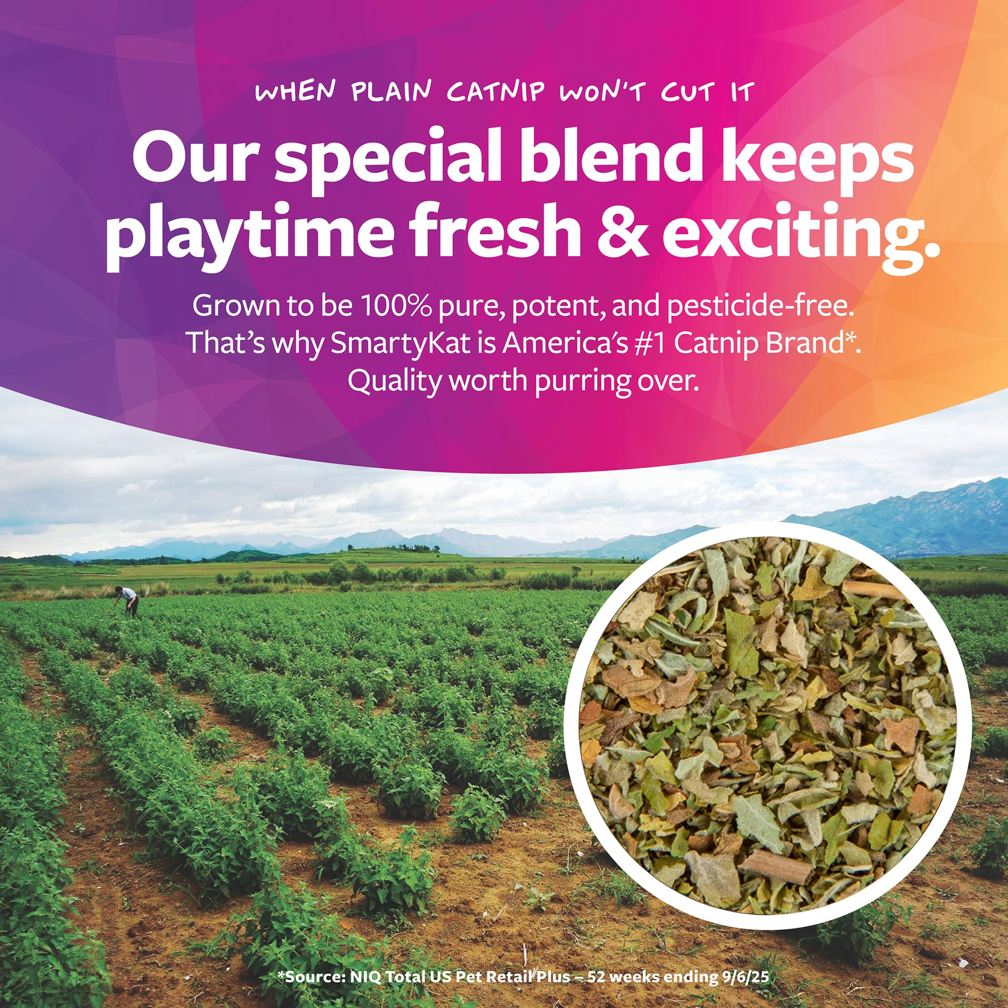 لعبة سكيتر كريترز للقطط من سمارتي كات، فئران النعناع البري، 3/في العبوة