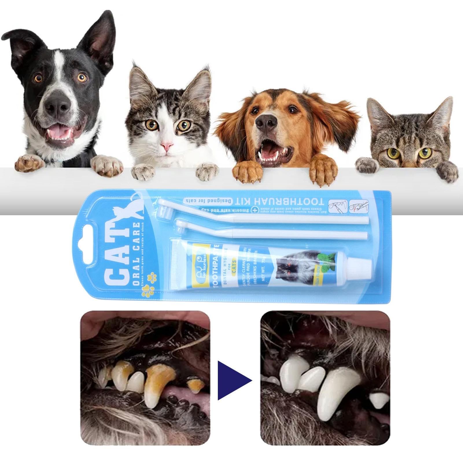 مجموعة اسنان الحيوانات الاليفة للقطط، مجموعة من 3 قطع تتضمن معجون اسنان للقطط، فرشاة اسنان للقطط، تزيل رائحة الفم الكريهة، حل سهل لانعاش النفس وتنظيف الاسنان وازالة البقع، مجموعة العناية بفم الحيوانات