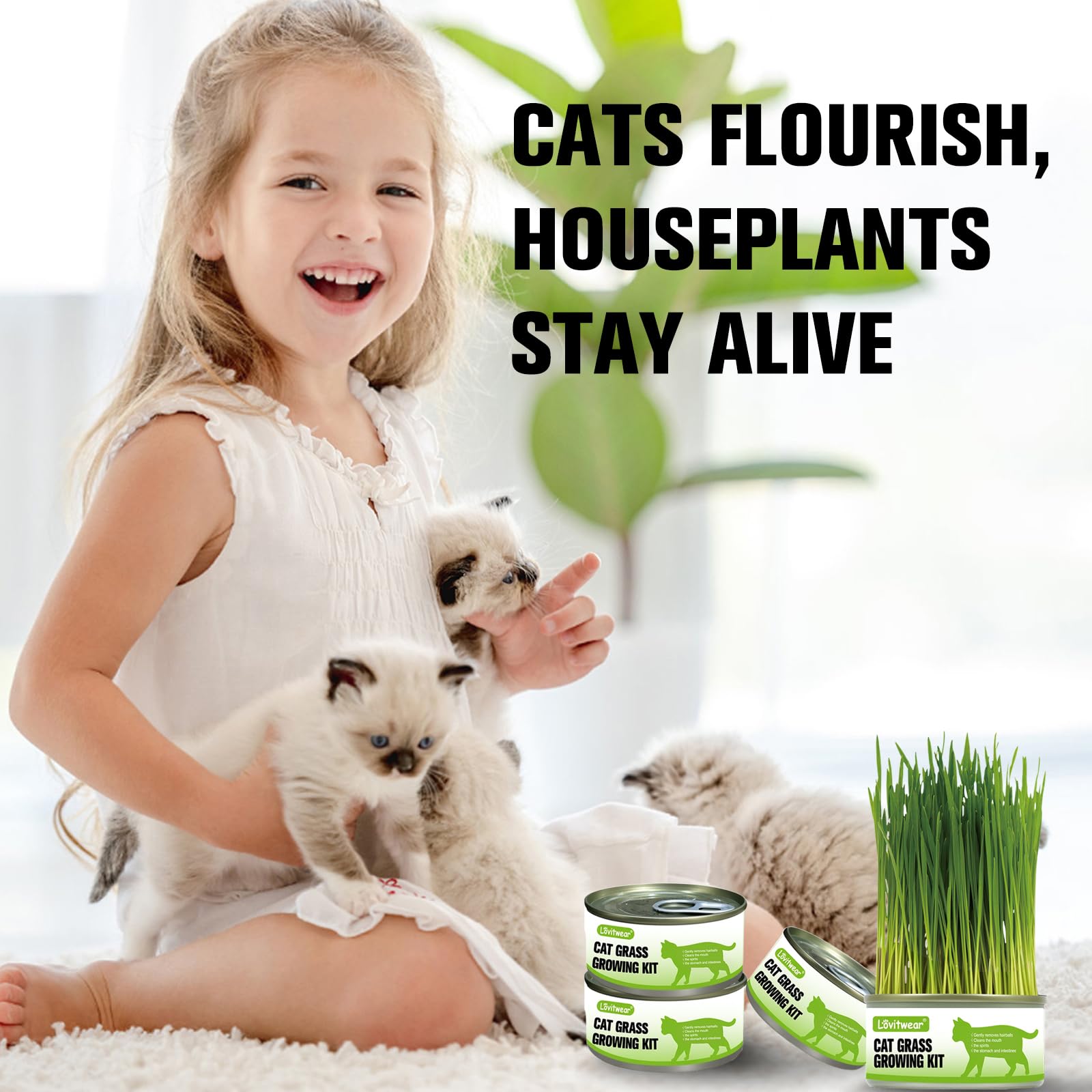 مجموعة زراعة عشب القطط الفاخرة - عبوة من 4 قطع - سهلة الزراعة للحصول على طعام لذيذ طبيعي للقطط والحيوانات الاليفة الأخرى