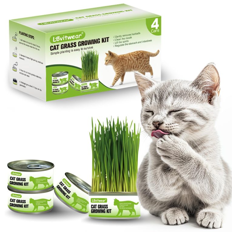 مجموعة زراعة عشب القطط الفاخرة - عبوة من 4 قطع - سهلة الزراعة للحصول على طعام لذيذ طبيعي للقطط والحيوانات الاليفة الأخرى