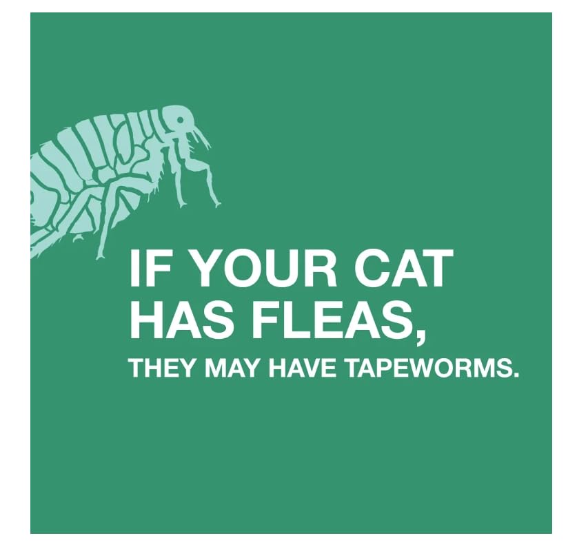 مزيل الديدان الشريطية من ايلانكو (اقراص برازيكوانتيل) للقطط والقطط الصغيرة بعمر 6 اسابيع فما فوق، 3 قطع