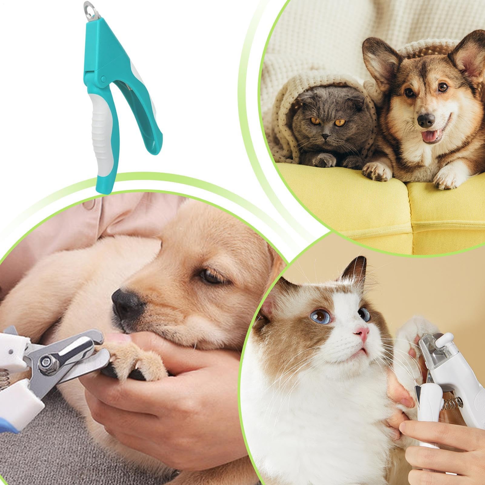 مقص تقليم اظافر القطط مع واقي امان، مقص اظافر للكلاب والقطط - للكلاب والجراء والقطط الصغيرة المتوسطة والكبيرة للاستخدام اليومي في المنزل والسفر والاستحمام