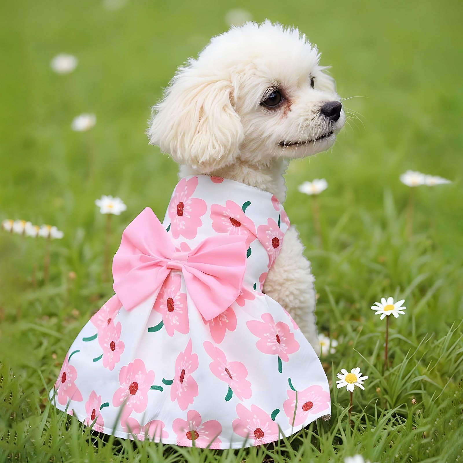 ملابس حيوانات أليفة بتصميم زهور لطيفة للكلاب والقطط الصغيرة والمتوسطة - فستان صيفي خفيف الوزن بربطة فيونكة للجراء والقطط، فساتين للكلاب مريحة وجيدة التهوية للبنات (مقاس XS)