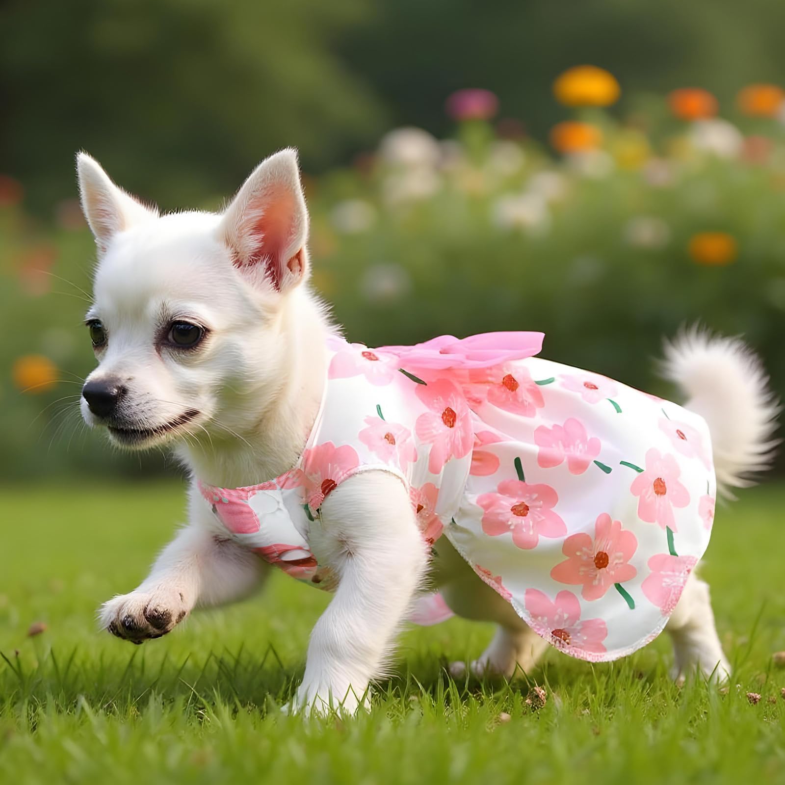 ملابس حيوانات أليفة بتصميم زهور لطيفة للكلاب والقطط الصغيرة والمتوسطة - فستان صيفي خفيف الوزن بربطة فيونكة للجراء والقطط، فساتين للكلاب مريحة وجيدة التهوية للبنات (مقاس XS)