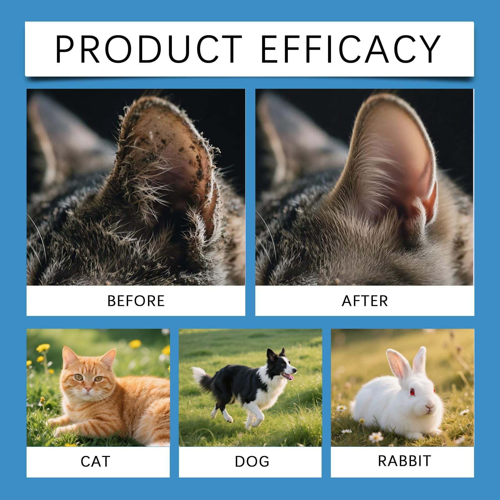 منظف اذن للكلاب والقطط لتهدئة الحكة والالتهابات من الميكاكوز، منظف أذني الكلاب للعناية اليومية وإزالة الأوساخ وتراكم الشمع والروائح بلطف