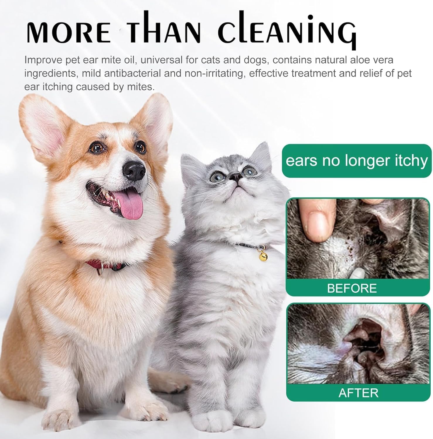 منظف اذن متطور للكلاب والقطط من ماكبيتي، محلول طبيعي للاذن لتخفيف الحكة وازالة الروائح الكريهة، ينظف قناة الاذن ويمنع العدوى، عناية متطورة لطيفة باذنين الكلاب والقطط (20 مل)