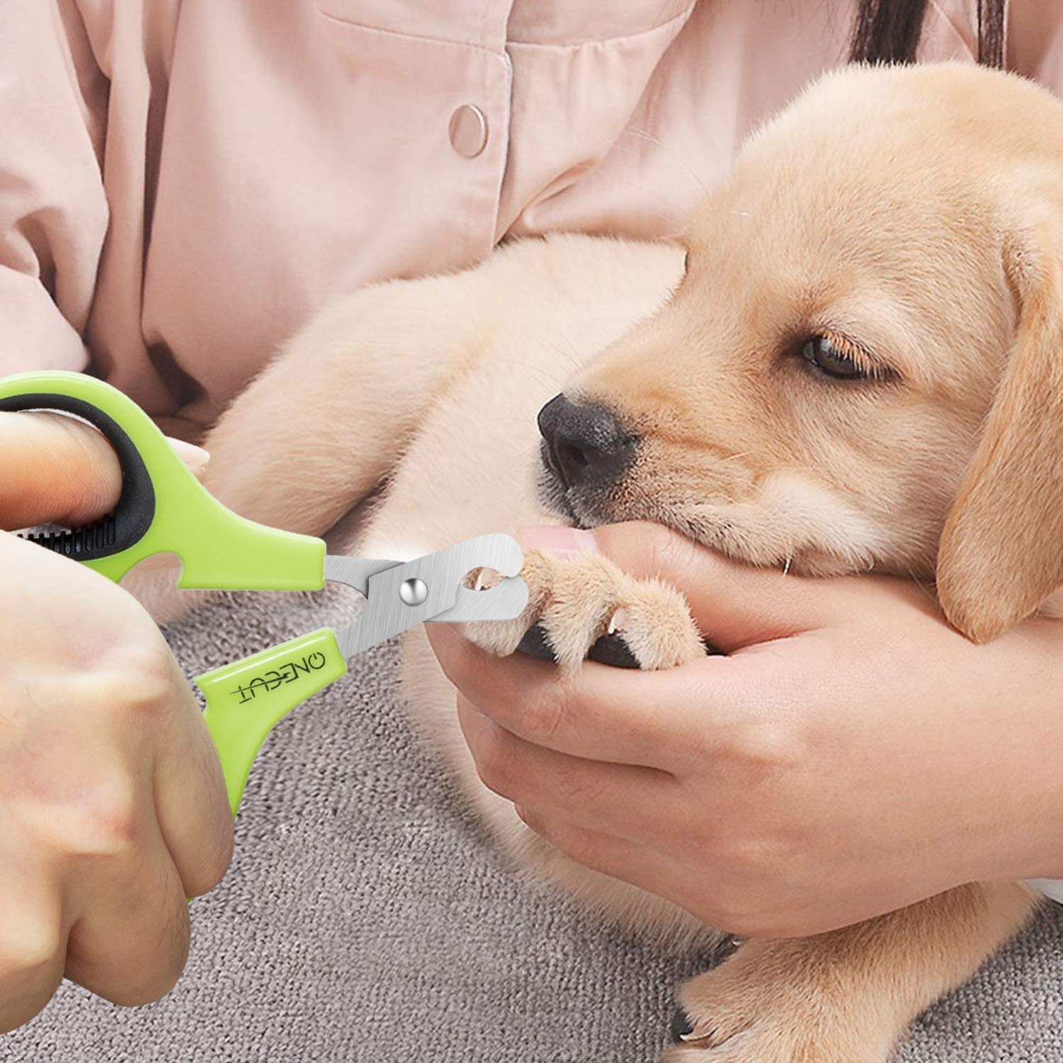 ون كت قصافة اظافر الحيوانات الاليفة، نسخة محدثة من قصافة اظافر القطط والقطط الصغيرة، قصافة اظافر احترافية للحيوانات الاليفة الافضل للقطط والجراء والارانب والقطط والكلاب الصغيرة، حادة وامنة (اسود)