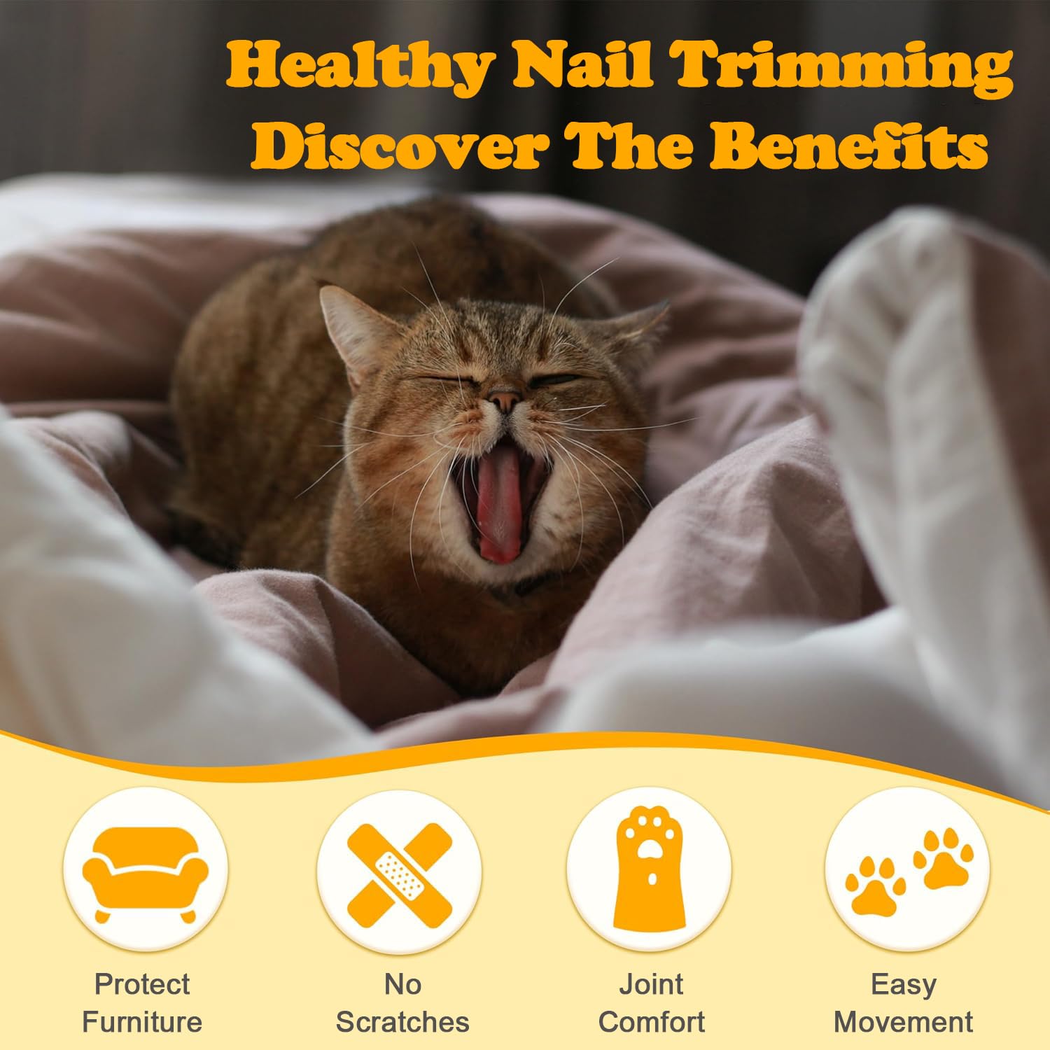 YSYONBOE 3 in 1 Claw Scissors for Dogs Cats Nail Clippers with Nail File Stainless Steel Claw Pliers for Beginners Cat Claws Cutter for Pets Claw Care