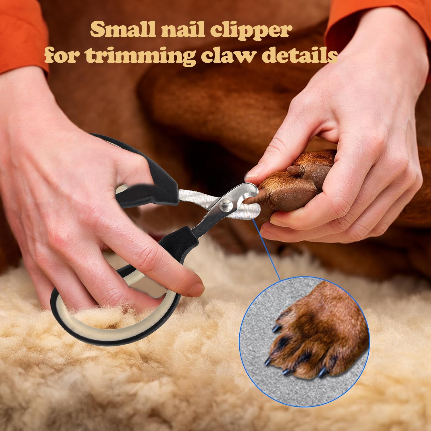 YSYONBOE 3 in 1 Claw Scissors for Dogs Cats Nail Clippers with Nail File Stainless Steel Claw Pliers for Beginners Cat Claws Cutter for Pets Claw Care