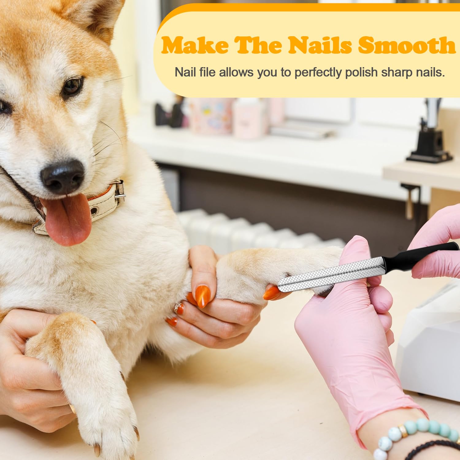 YSYONBOE 3 in 1 Claw Scissors for Dogs Cats Nail Clippers with Nail File Stainless Steel Claw Pliers for Beginners Cat Claws Cutter for Pets Claw Care