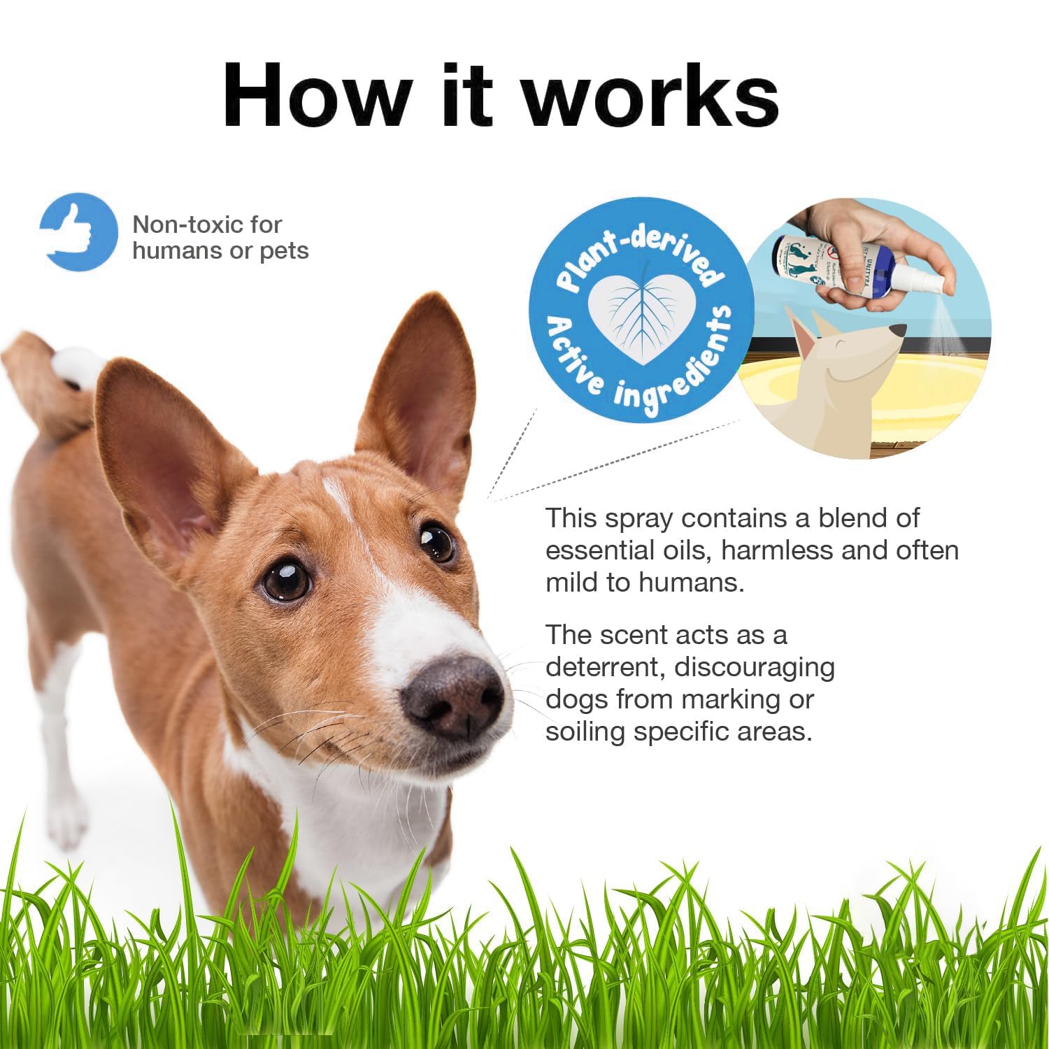 بخاخ نوت هير للكلاب والقطط والجراء - مانع بول الحيوانات الاليفة والمضغ - بخاخ طارد للتبول داخل المنزل وخارجه - يمنع التبول والتبرز - تدريب على استخدام النونية وتصحيح السلوك للسجاد والارضيات