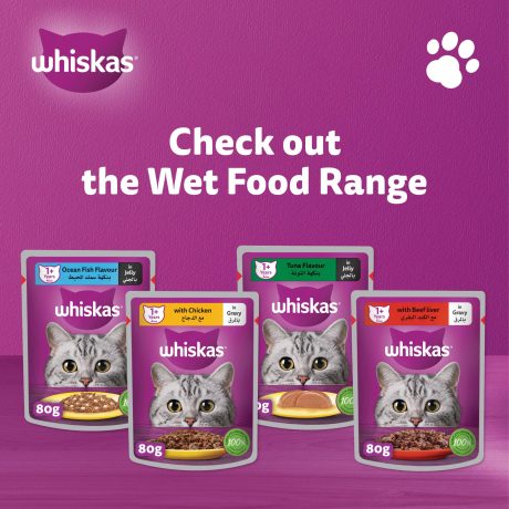 ويسكاس أكل قطط رطب، كبد البقر بالمرق، عبوة من 24 × 80غ، طعام قطط رطب للقطط البالغة بعمر سنة فما فوق، تغذية كاملة ومتوازنة