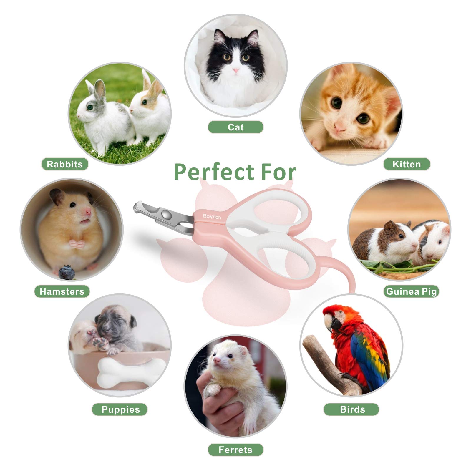 قصافة اظافر للقطط من بايشن للحيوانات صغيرة الحجم مثل الخنازير الغينية والطيور والجراء والقطط والجربوع والهامستر والارانب