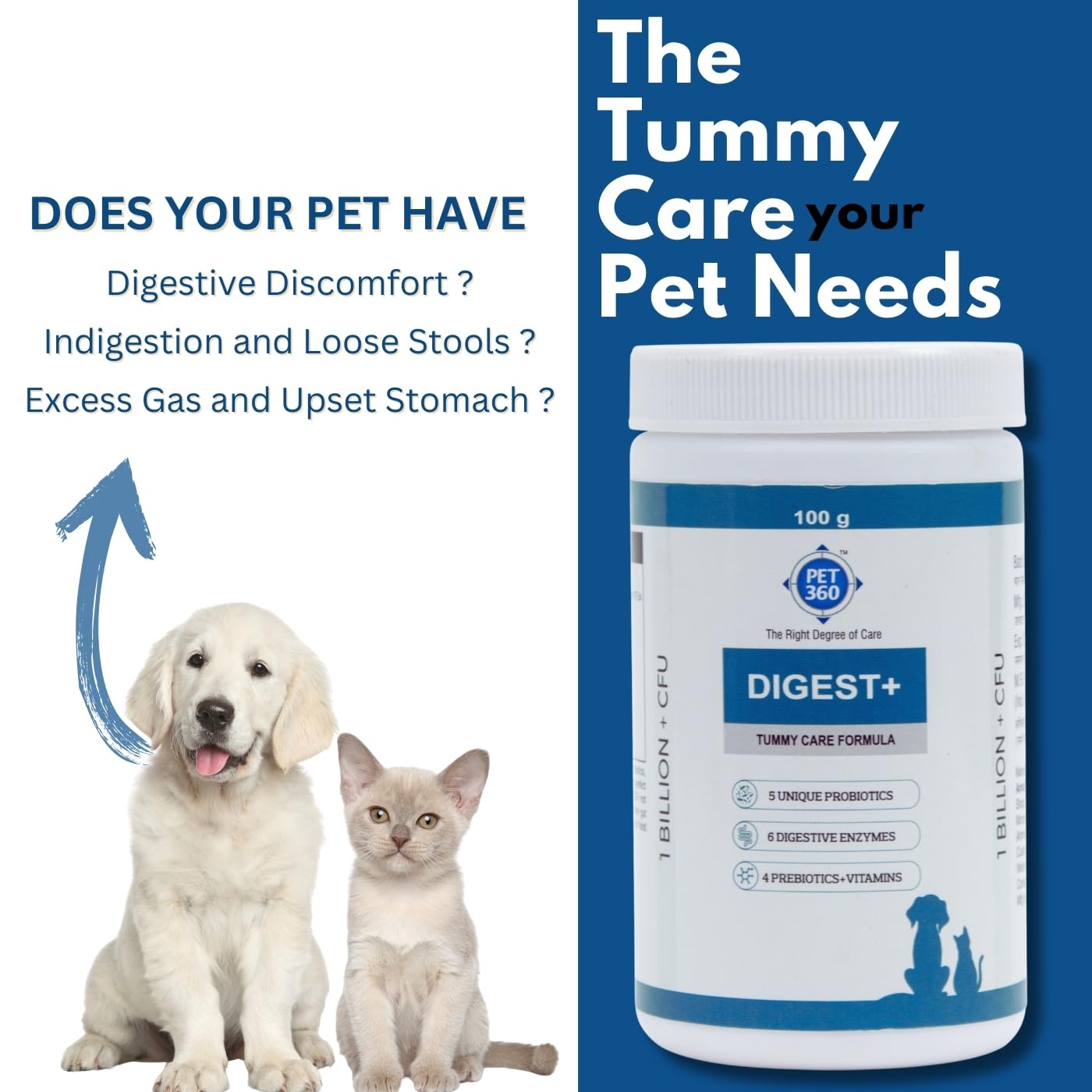 تركيبة دايجست + للعناية بالبطن من PET360 | مكمل صحي للامعاء للكلاب والقطط | البروبيوتيك والبريبايوتك والانزيمات الهضمية والفيتامينات لتحسين الهضم والمناعة | مناسب لجميع السلالات - 100 غرام
