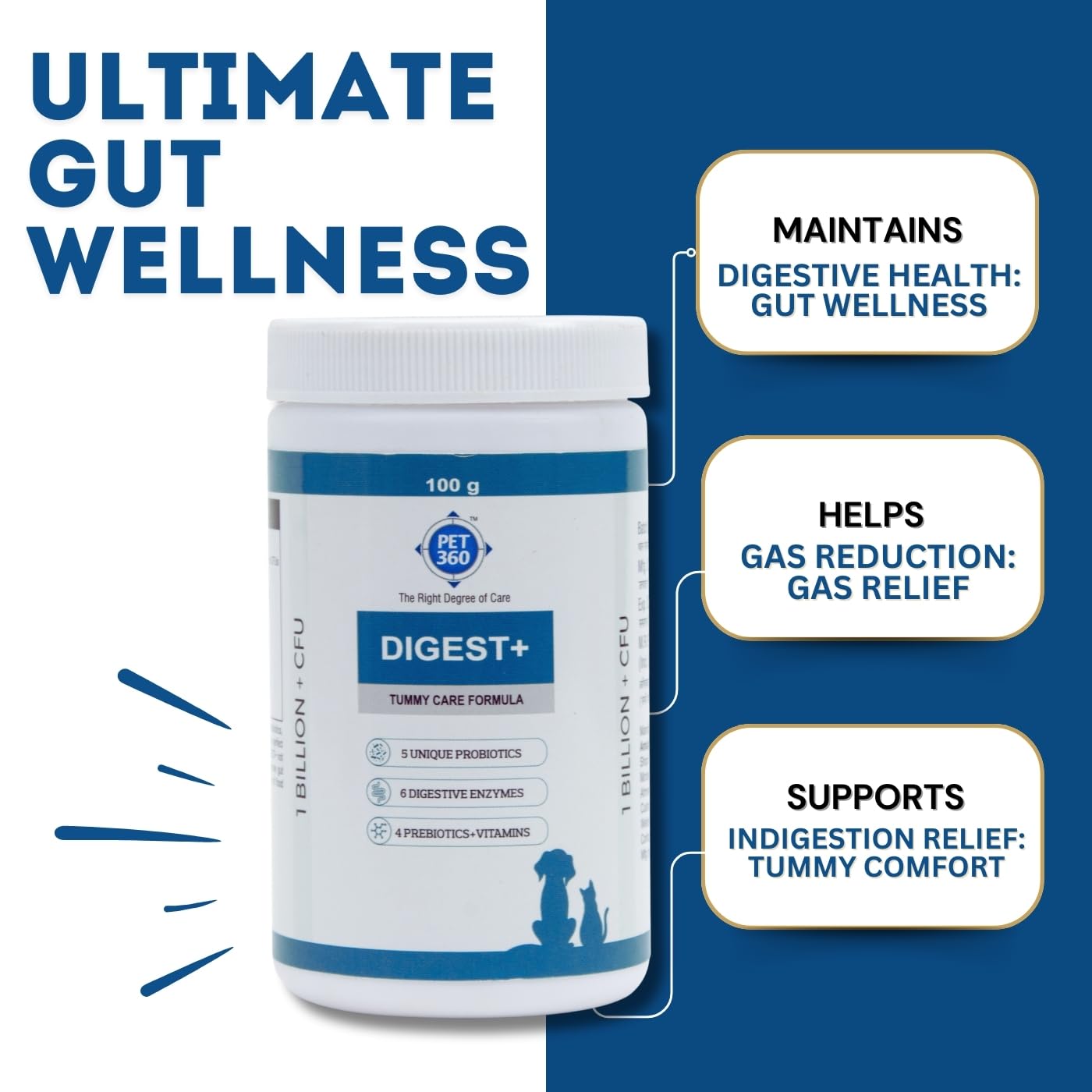 تركيبة دايجست + للعناية بالبطن من PET360 | مكمل صحي للامعاء للكلاب والقطط | البروبيوتيك والبريبايوتك والانزيمات الهضمية والفيتامينات لتحسين الهضم والمناعة | مناسب لجميع السلالات - 100 غرام