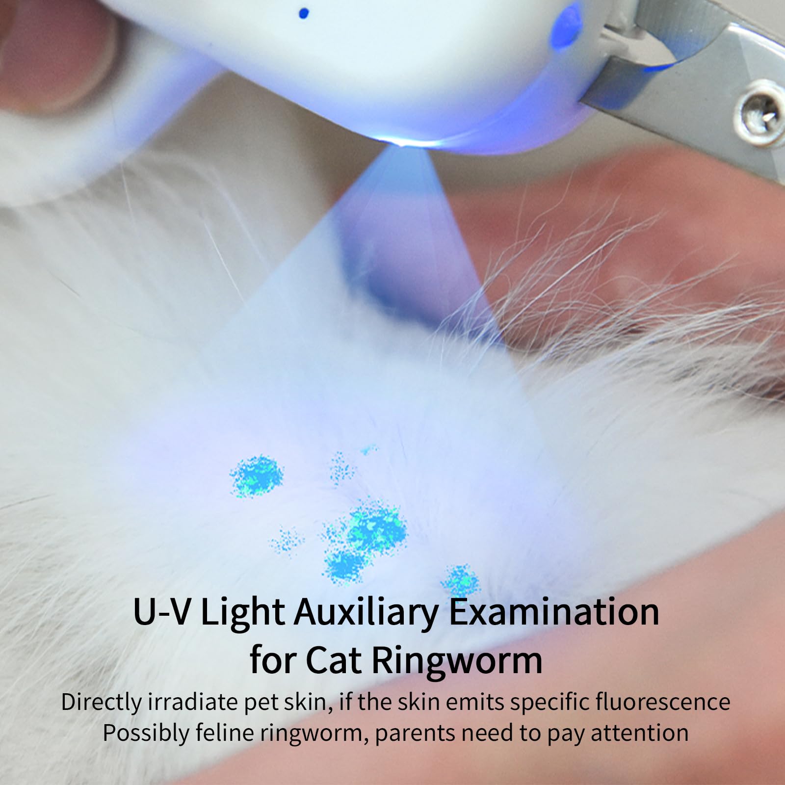 باكي واي قصافة اظافر للقطط