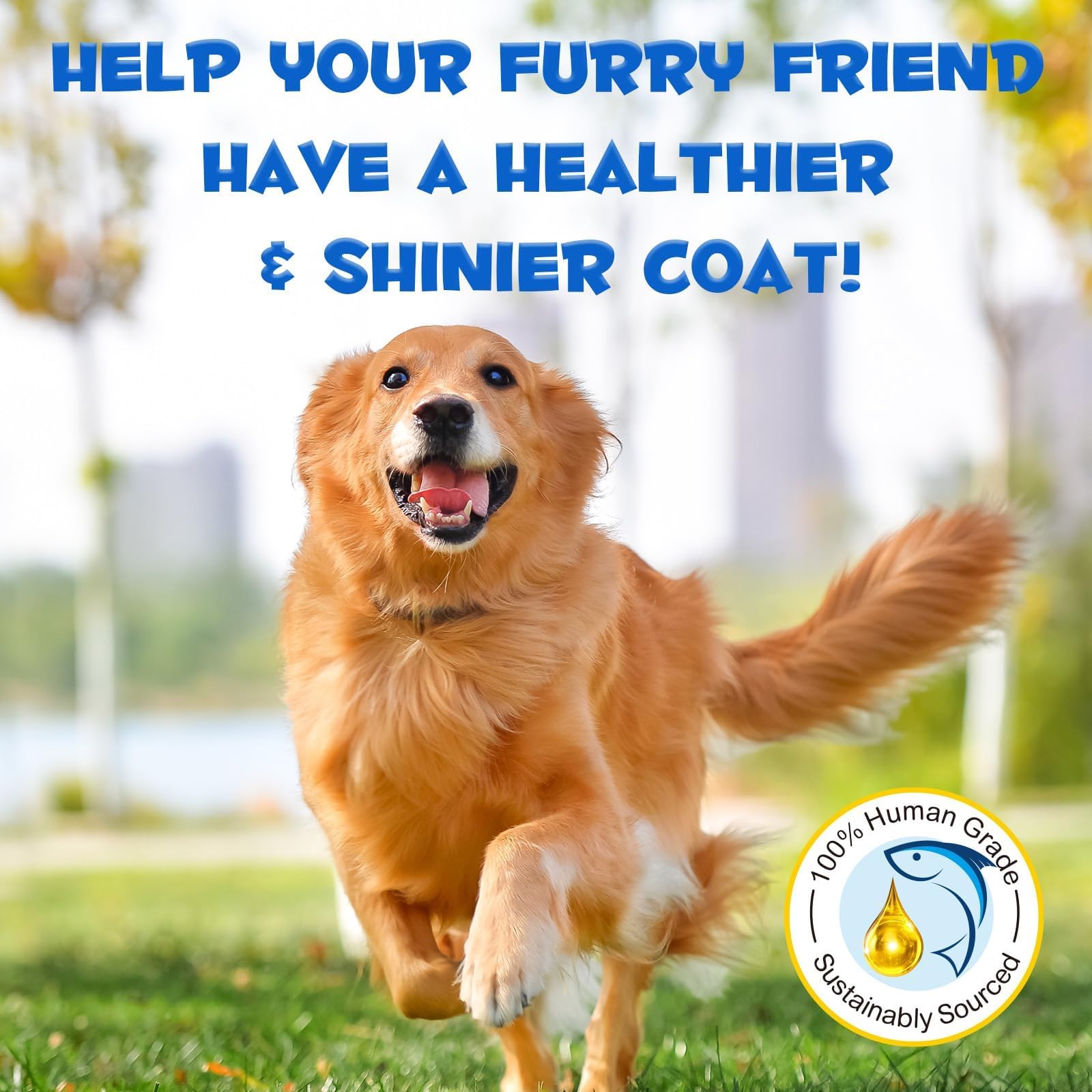 زيت سمك السلمون للكلاب والقطط المشبع بالأوميجا 3