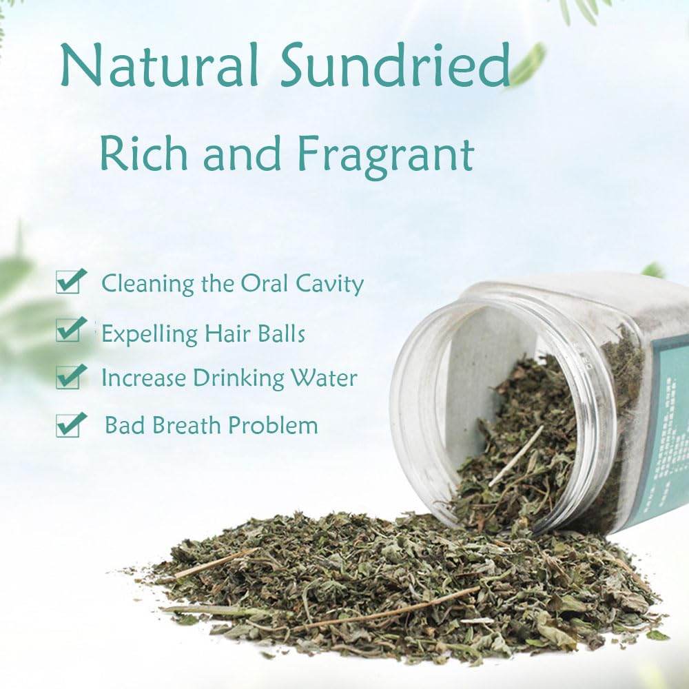 نبات القطط (كاتنيب) من انيوان، كاتنيب طبيعي للقطط، يستخدم كوجبة خفيفة أو لملء ألعاب القطط، كاتنيب يمكنه تنظيف الفم، جاف ومختوم، سهل التخزين (250 مل)