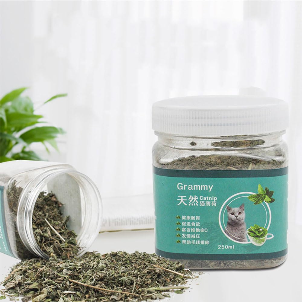 نبات القطط (كاتنيب) من انيوان، كاتنيب طبيعي للقطط، يستخدم كوجبة خفيفة أو لملء ألعاب القطط، كاتنيب يمكنه تنظيف الفم، جاف ومختوم، سهل التخزين (250 مل)