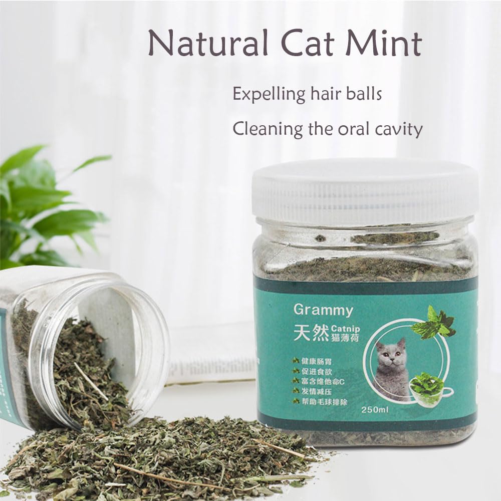 نبات القطط (كاتنيب) من انيوان، كاتنيب طبيعي للقطط، يستخدم كوجبة خفيفة أو لملء ألعاب القطط، كاتنيب يمكنه تنظيف الفم، جاف ومختوم، سهل التخزين (250 مل)