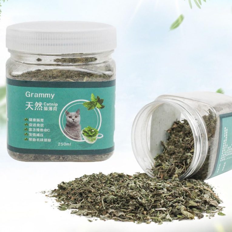نبات القطط (كاتنيب) من انيوان، كاتنيب طبيعي للقطط، يستخدم كوجبة خفيفة أو لملء ألعاب القطط، كاتنيب يمكنه تنظيف الفم، جاف ومختوم، سهل التخزين (250 مل)